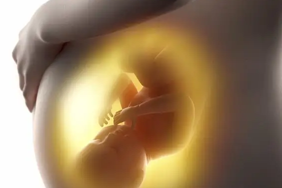 40岁的女性胚胎质量不好还要继续做试管吗？