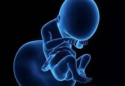 怀孕17周后胎停会出现哪些症状？
