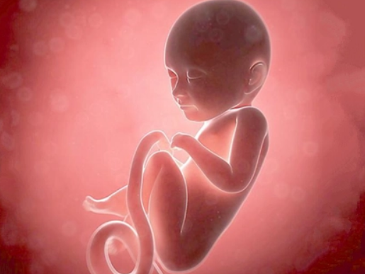 胎儿在孕期什么时候是最活跃的呢？