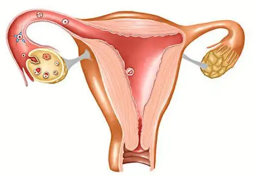 卵巢功能下降后做试管的成功率怎么样？