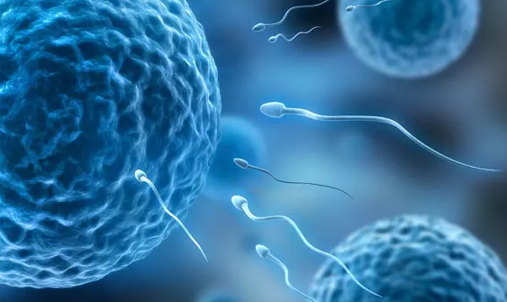 试管培养出的胚胎质量差和基因有关吗？