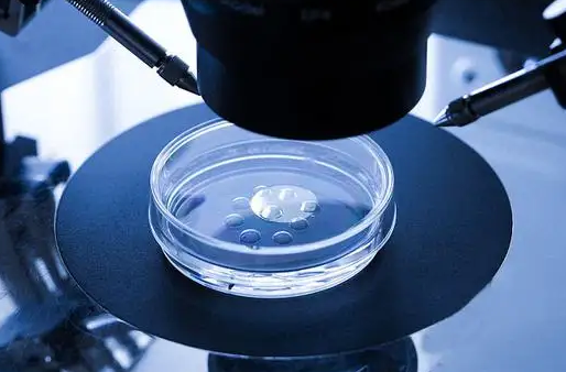 试管移植囊胚之后什么时候可以用试纸测出怀孕？