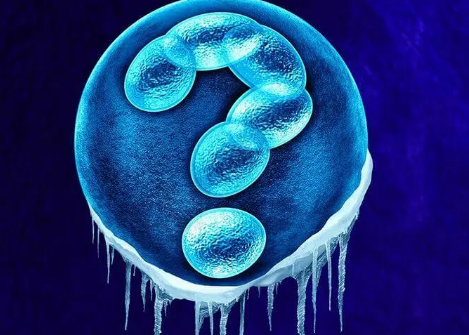 试管移植冻囊胚会跑到输卵管形成宫外孕吗？
