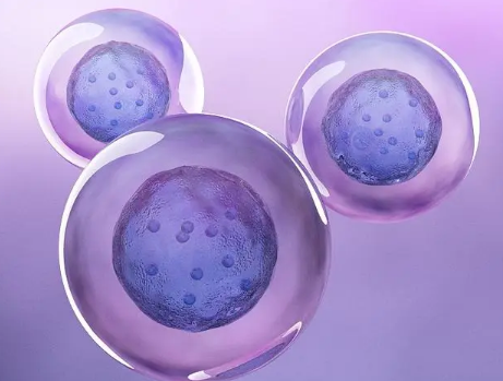 试管移植二级胚胎着床成功的概率高吗？
