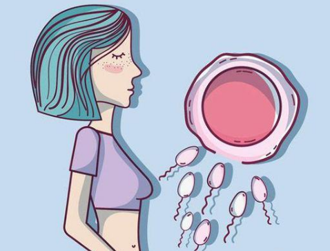 雌二醇水平高低会影响卵泡质量，但并不代表雌二醇越高卵泡质量越好