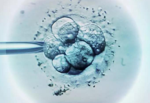 40岁的女性移植4bb的囊胚能一次成功吗？