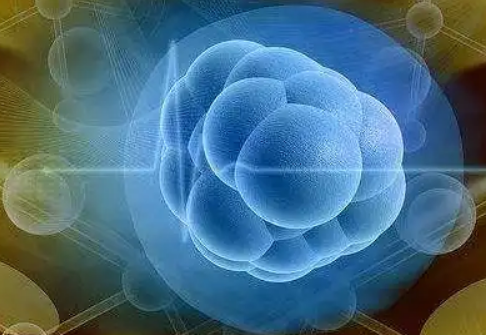 试管囊胚移植是目前成功率最高的方式，但也受这几个因素影响