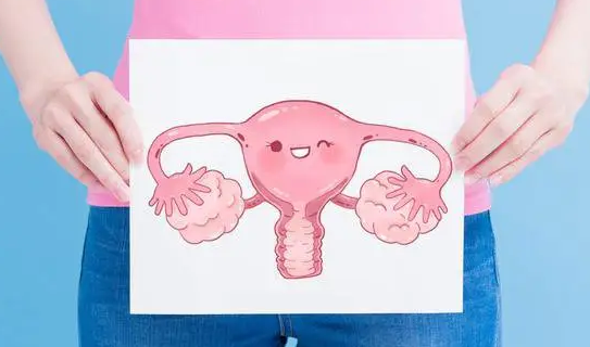 始基子宫是由于染色体异常导致的，在胚胎时期就对子宫带来影响