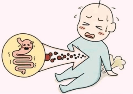宝宝消化吸收不好应该怎样进行调理呢？