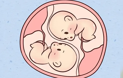 自然受孕想要生双胞胎也有方法，这些秘诀能助你提高生双胞胎的几率