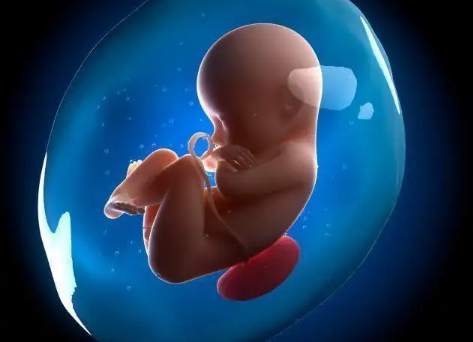 胚胎着床后多久开始分泌hcg？