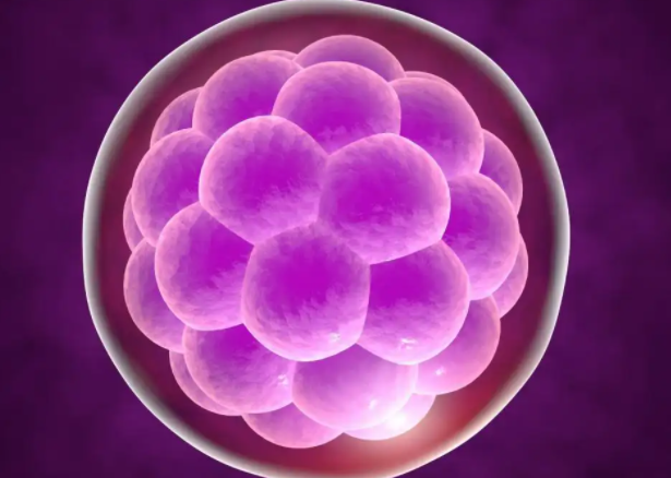 输卵管阻塞试管婴儿用黄体期方案卵泡质量高吗？