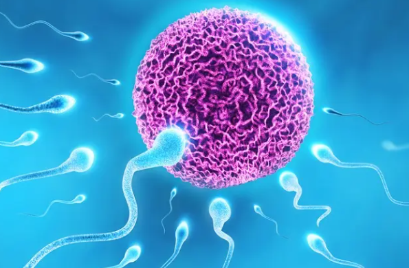 精子活力差做试管婴儿容易胎停吗？