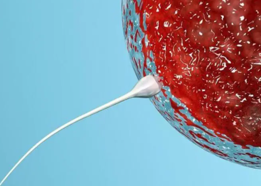 输卵管切除想生育可以通过试管技术怀孕吗？