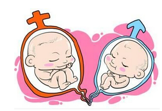 试管婴儿可以做双胞胎吗 一代试管婴儿可以做双胞胎吗
