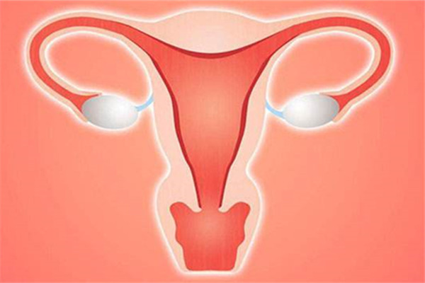 卵巢发育不全上海瑞金医院做试管成功率是多少？