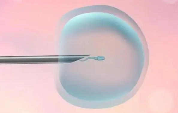 输卵管积水去武汉协和做试管婴儿，养囊是按照多少钱一个收费的？