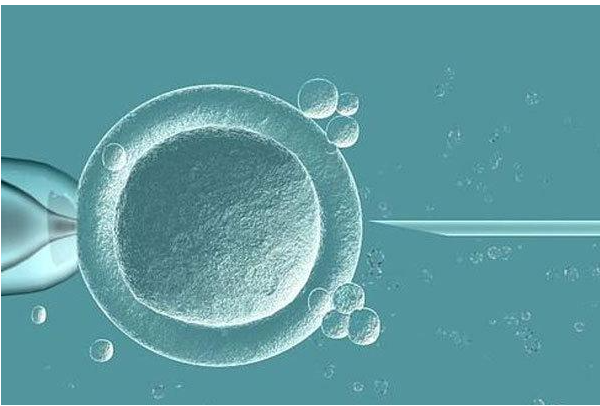 试管婴儿移植时能否一次移植多个胚胎？为您详细解答