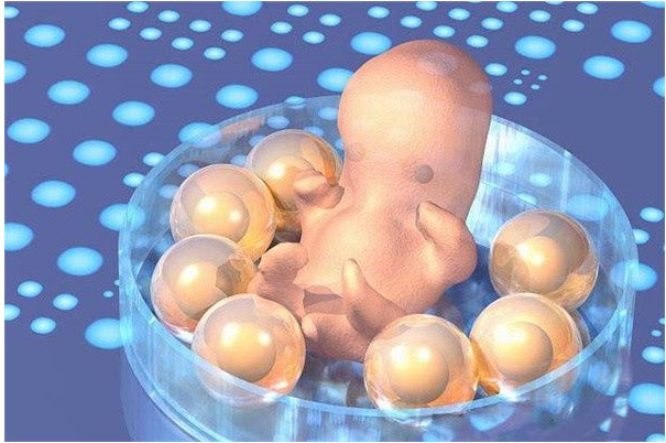 试管婴儿移植后48小时，如何促进胚胎的着床成功