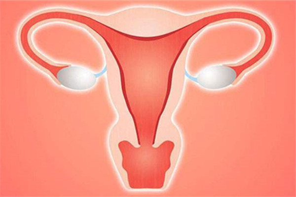 卵巢早衰在苏州做试管好吗？需要多少钱？