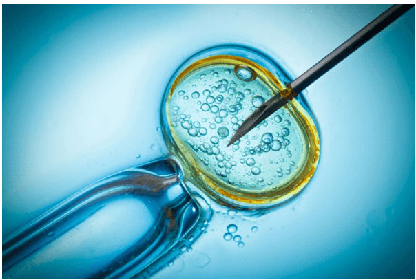 试管胚胎等级对试管婴儿的受孕率的影响