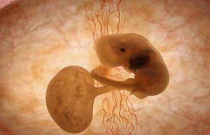 试管婴儿：人工周期移植的最佳内膜准备时间是多长，解答你的疑惑