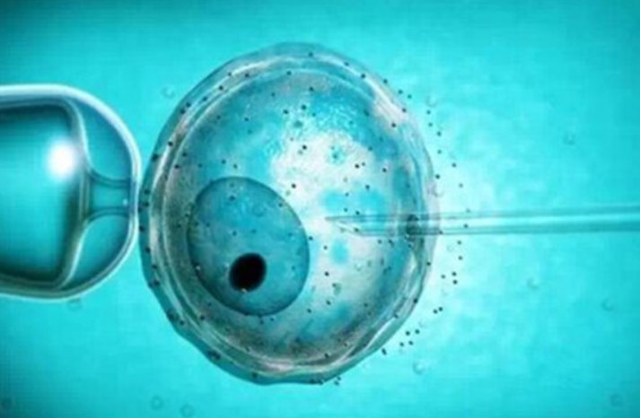 胚胎质量不好，养出来的囊胚能成为健康宝宝吗