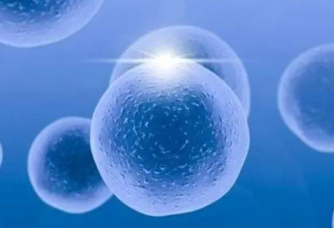 试管婴儿移植4cb囊胚与普通囊胚成功率差别大吗，一探究竟