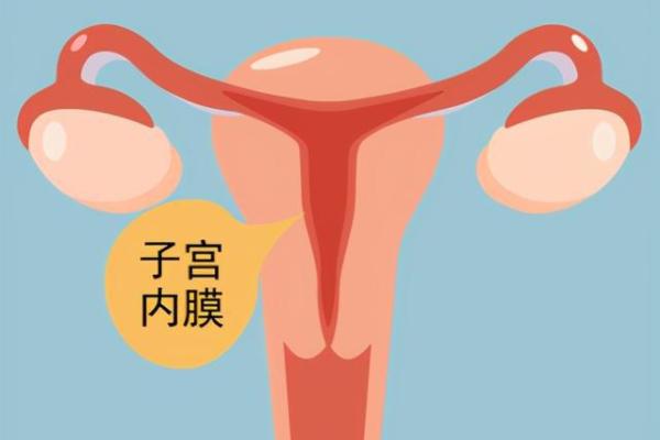 子宫内膜容受性差可以直接供卵试管吗？