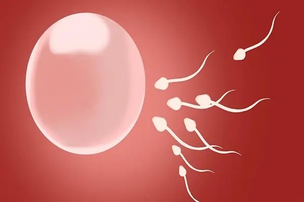 卵泡少想生育可以通过试管技术怀孕吗？
