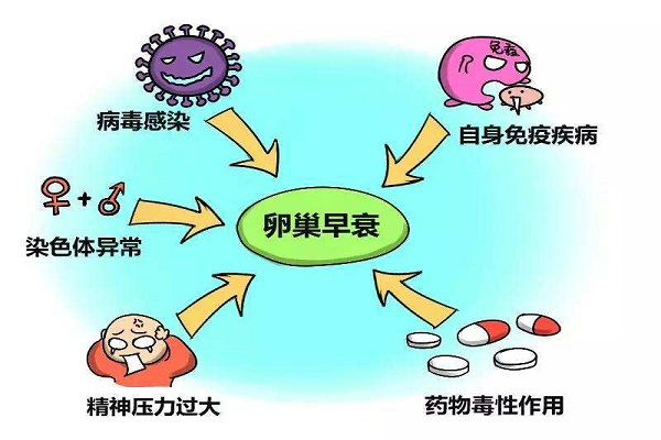卵巢早衰在重庆做试管能一次成功吗?
