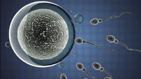 试管婴儿攒胚方案：攒胚的优势和注意事项