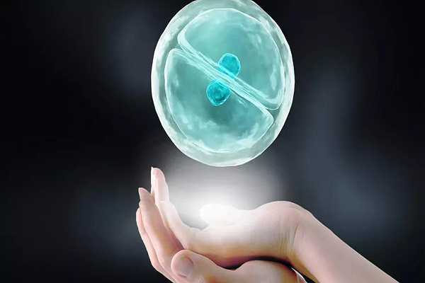 预防输卵管一侧轻度堵塞，提高试管婴儿成功率！