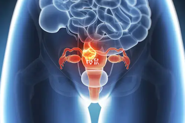 卵巢功能差做试管胎停怎么办？需要进行哪些检查和治疗？
