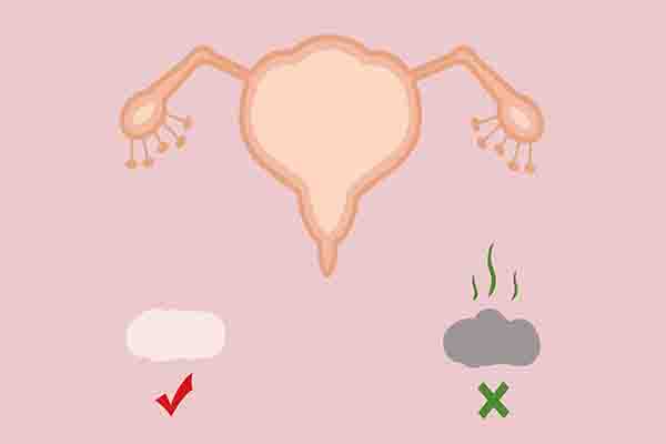 卵巢早衰在长沙做试管要多少钱？