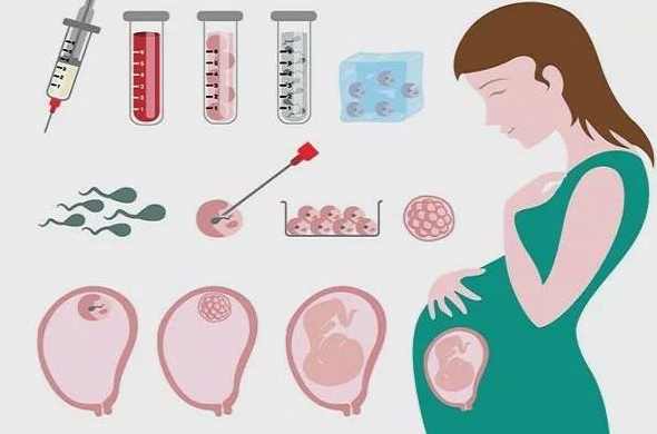 自然怀孕和试管婴儿区别，医生详细解答让你轻松选择最佳方案！