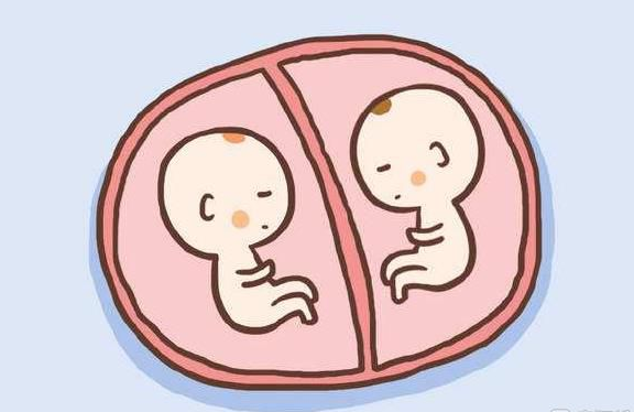 试管婴儿胚胎放置数量的选择，医生详细解答让你轻松迎接宝宝到来！