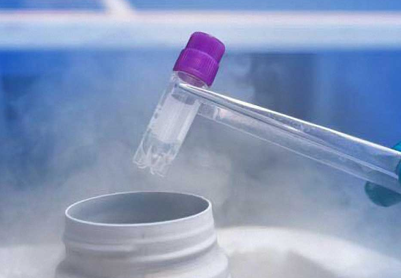 2023年做试管婴儿选用冷冻精子是否更安全？