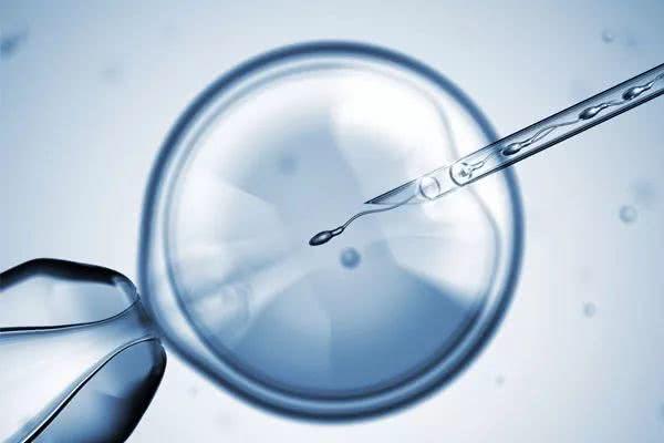 试管婴儿出现胎儿缺陷几率多大？了解胚胎筛查和遗传咨询