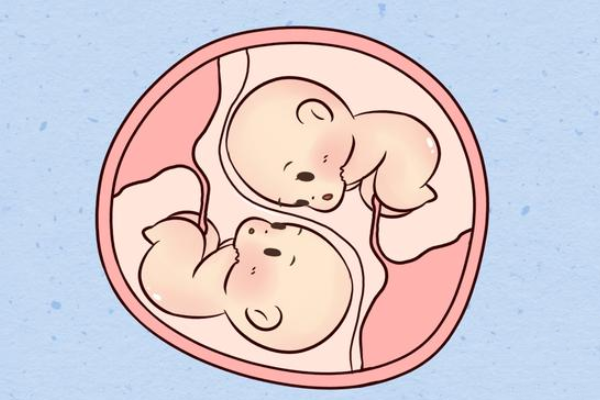中山做试管婴儿双胞胎一次多少钱？失败了可以重新做吗？