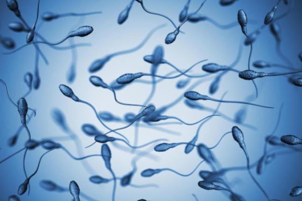 精子密度下降去马来西亚做试管能顺利怀上孩子吗？