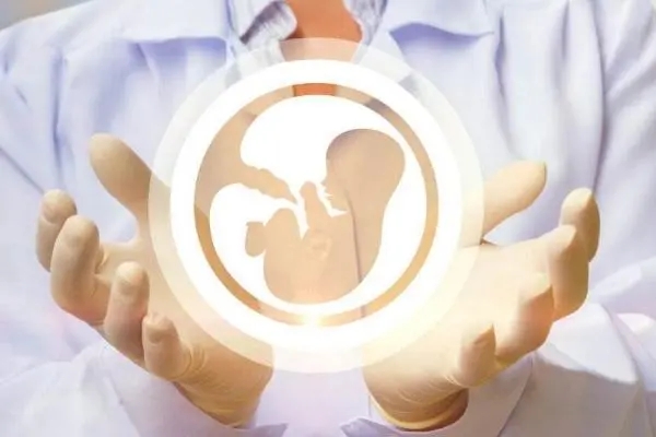 2023中山市妇幼保健院试管婴儿流程指南，一文读懂助孕成功率多少