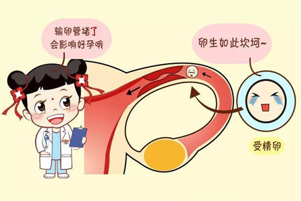 输卵管粘连在武汉做试管能报销吗？移植有可能宫外孕吗?