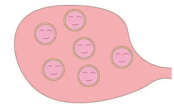 三代试管胚胎选择技术，让你轻松决定宝宝性别