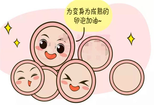 排卵功能障碍在南京做试管要多少钱？