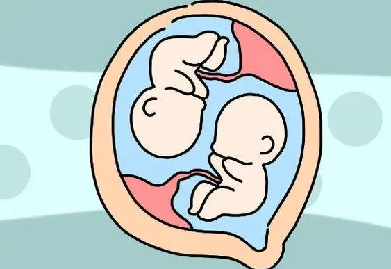 试管婴儿龙凤胎的概率大吗？这里或许有答案！