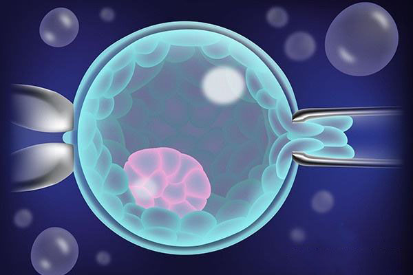 三代试管一次放几个胚胎好？怎样提高成功率？