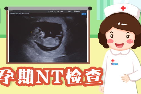 孕期nt检查之后下一步应该进行什么检查来保证宝宝健康？