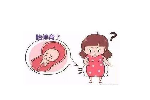 三次胎停育导致宫腔粘连严重吗？该怎么治疗？