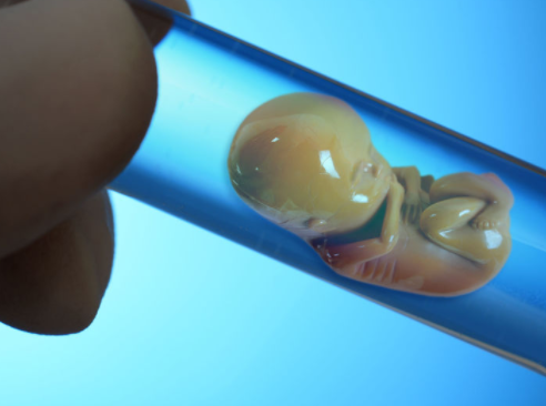 原发性闭经两年的患者可以申请做供卵试管吗？